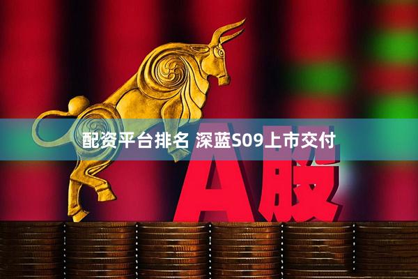 配资平台排名 深蓝S09上市交付